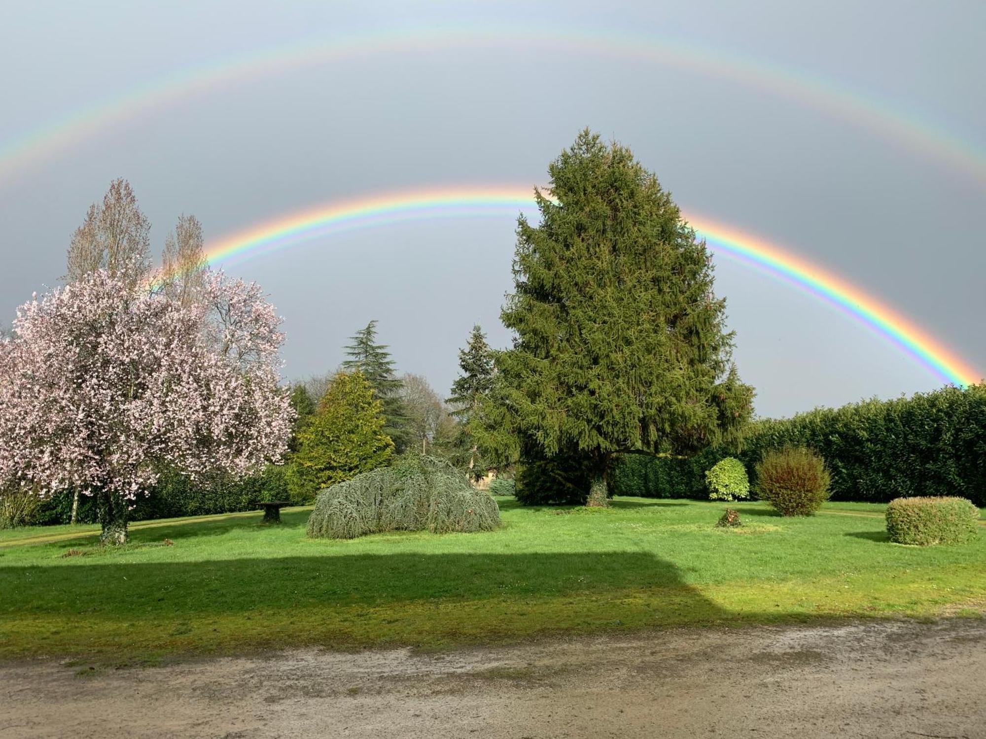 Le Bois D'Amour Gite Et Chambres Charroux  Bagian luar foto